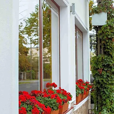 Bed & Breakfast De Luxe Figaro